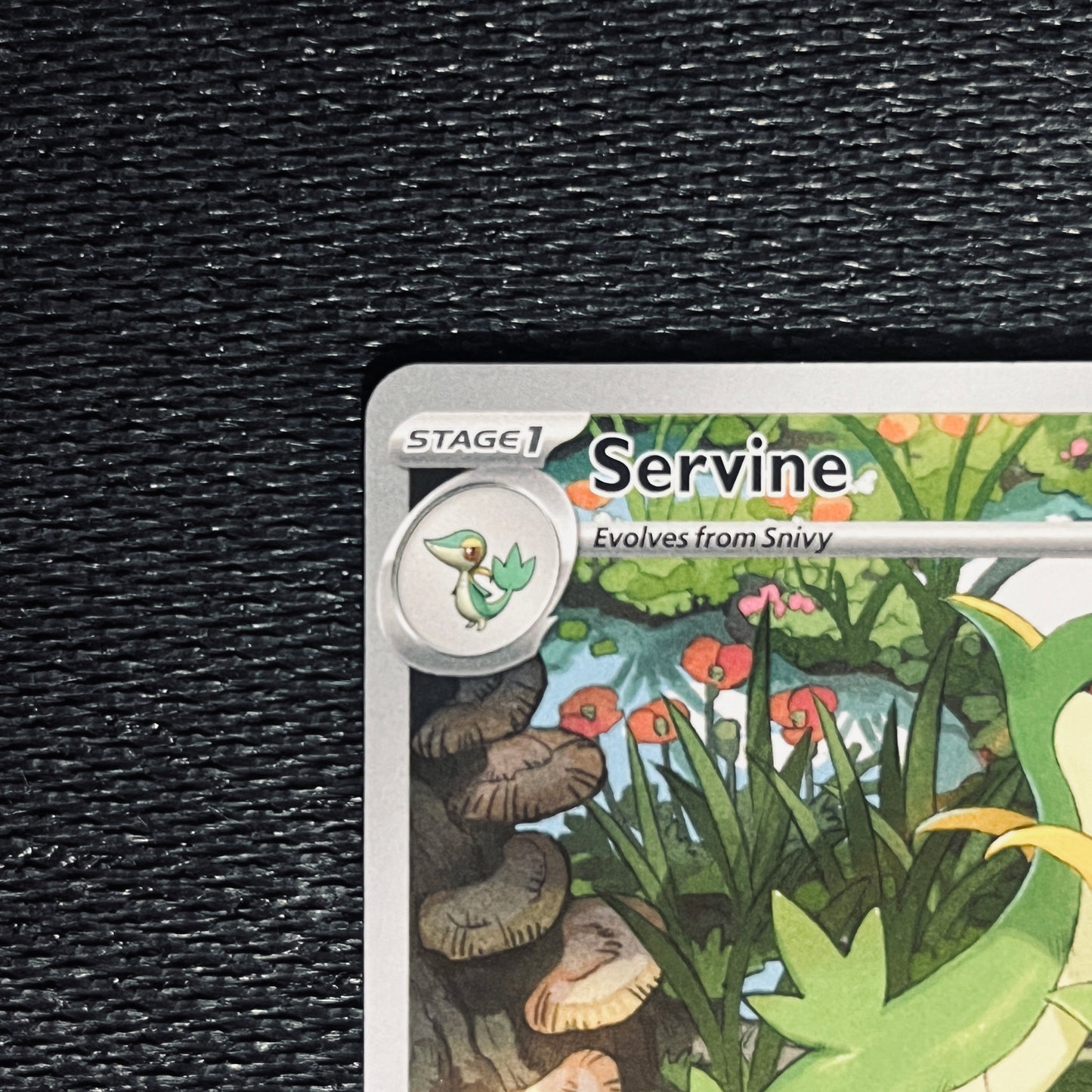 Raw - Servine 188/086